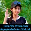 About Mata Pita Meena Song Song